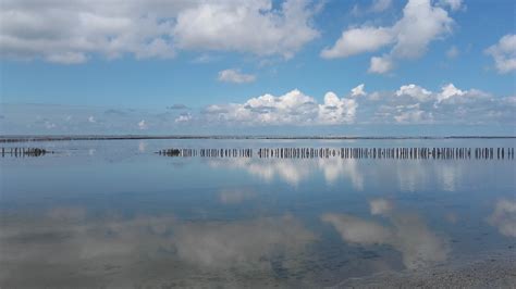 weidsheid of wijdsheid|wijds landschap.